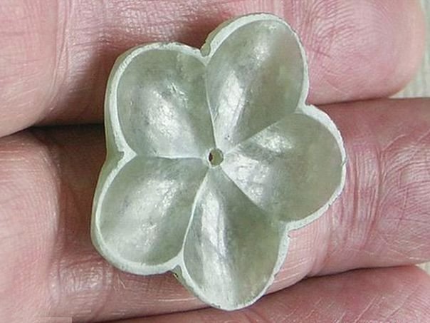 Flower 472 - (4900)